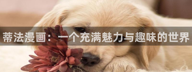 在线免费观看yy漫画