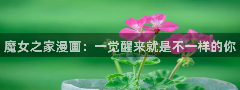 yy漫画免费漫画在线