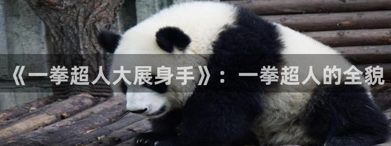yy漫画免登录