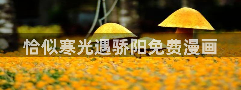 yy漫画在线无删减