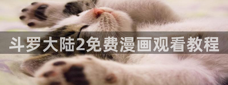 yy漫画登录不了怎么办