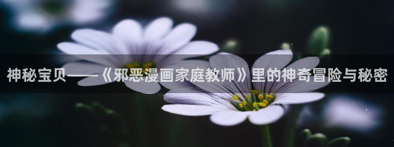 yy漫画无